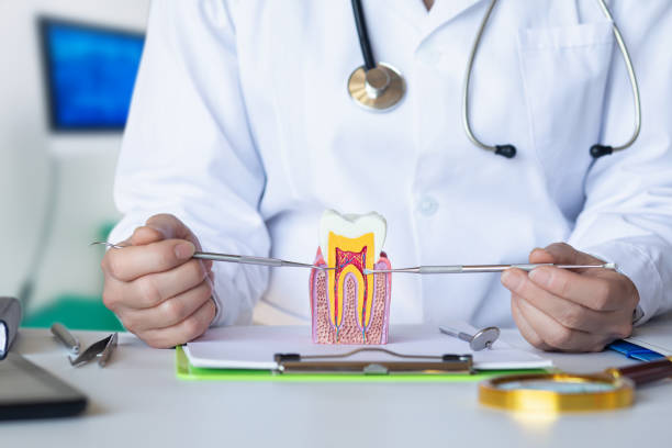 Best Emergency Tooth Extraction in Marshfield, MO